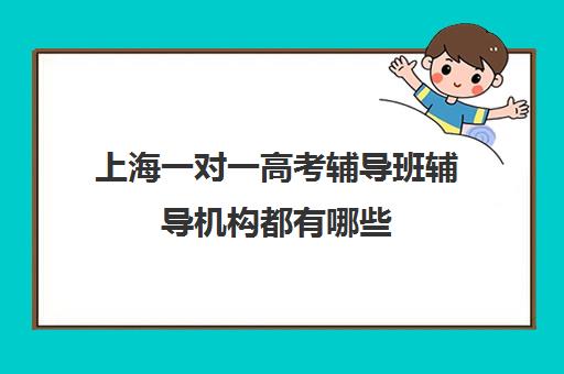 上海一对一高考辅导班辅导机构都有哪些(上海比较好的补课机构)