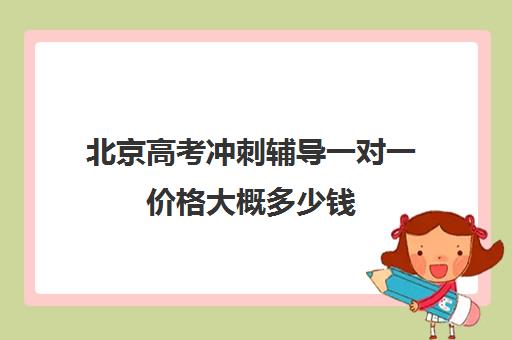 北京高考冲刺辅导一对一价格大概多少钱(初中一对一辅导哪个好)