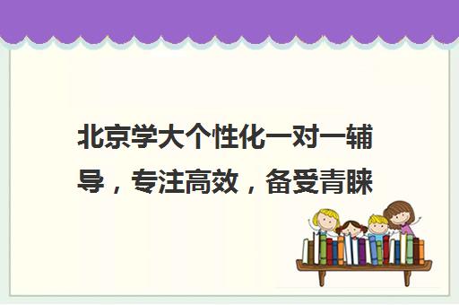 北京学大个性化一对一辅导，专注高效，备受青睐