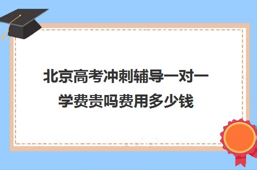 北京高考冲刺辅导一对一学费贵吗费用多少钱(高三辅导一对一多少钱)