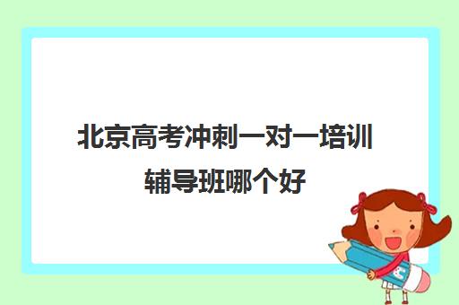 北京高考冲刺一对一培训辅导班哪个好(高考辅导机构排行榜是怎样的)