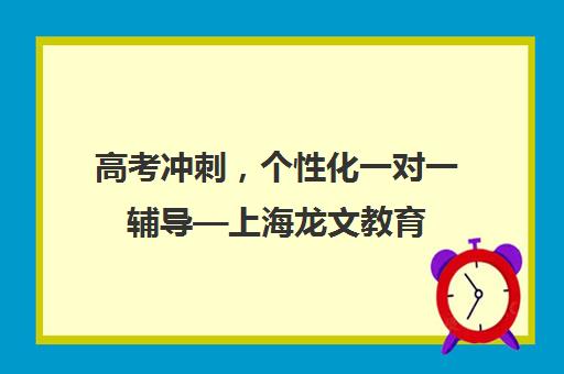 高考冲刺，个性化一对一辅导—上海龙文教育