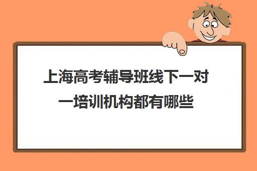 上海高考辅导班线下一对一培训机构都有哪些(一对一辅导怎么辅导)