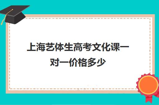 上海艺体生高考文化课一对一价格多少(上海艺考分数线)