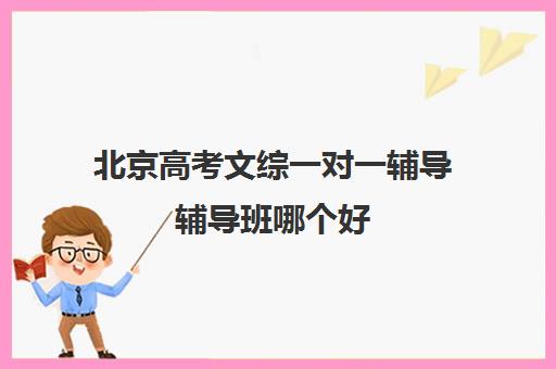 北京高考文综一对一辅导辅导班哪个好(高考辅导机构排行榜是怎样的)