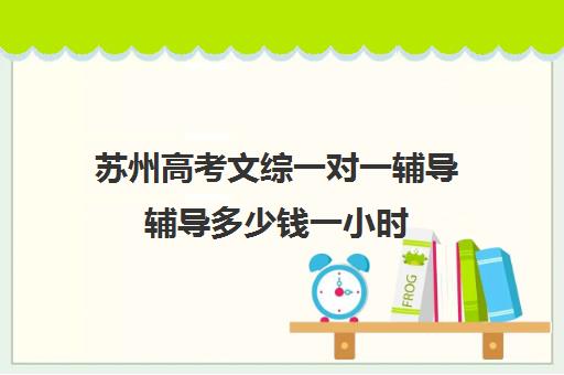 苏州高考文综一对一辅导辅导多少钱一小时(上海高三一对一辅导价格表)