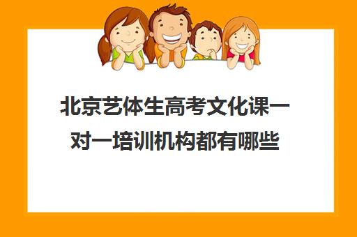 北京艺体生高考文化课一对一培训机构都有哪些(艺考生一对一的辅导)