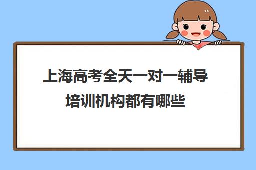 上海高考全天一对一辅导培训机构都有哪些(一对一辅导机构哪个好)