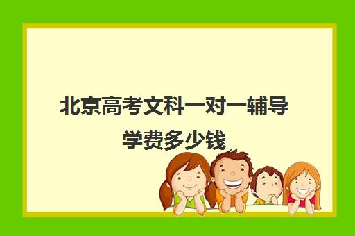 北京高考文科一对一辅导学费多少钱(高考一对二和一对一的价格怎么算)