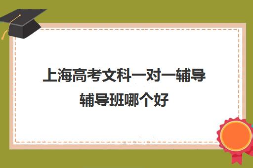 上海高考文科一对一辅导辅导班哪个好(上海高中文科有哪些科目)