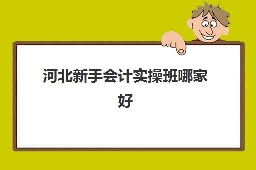 河北新手会计实操班哪家好(新手会计没人带怎么办)