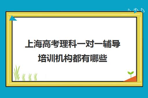 上海高考理科一对一辅导培训机构都有哪些(小托福一对一培训机构)