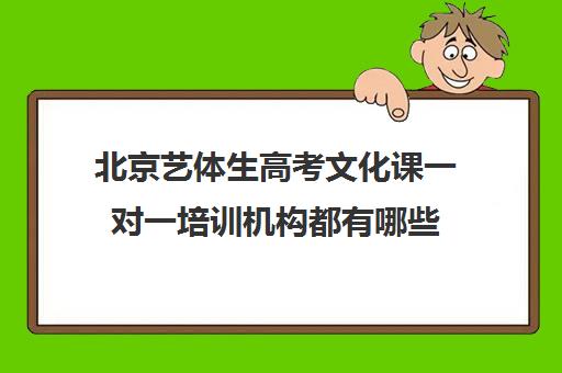 北京艺体生高考文化课一对一培训机构都有哪些(艺考生一对一的辅导)