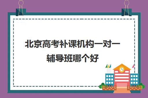 北京高考补课机构一对一辅导班哪个好(北京比较好的补课机构)