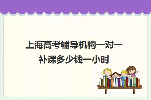 上海高考辅导机构一对一补课多少钱一小时(上海高三一对一辅导价格表)