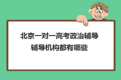 北京一对一高考政治辅导辅导机构都有哪些(一对一机构)