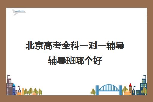 北京高考全科一对一辅导辅导班哪个好(高考线上辅导机构有哪些比较好)