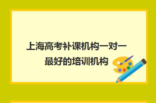 上海高考补课机构一对一最好的培训机构(一对一补课价格)