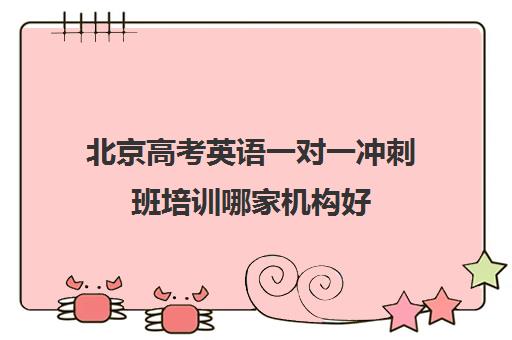 北京高考英语一对一冲刺班培训哪家机构好(高考培训机构排名最新)