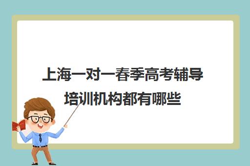 上海一对一春季高考辅导培训机构都有哪些(春季高考线上辅导班)