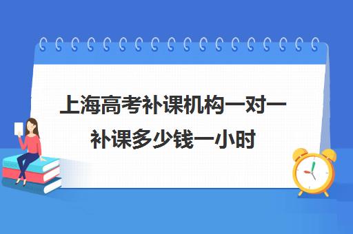 上海高考补课机构一对一补课多少钱一小时(上海高三一对一辅导价格表)