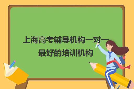 上海高考辅导机构一对一最好的培训机构(高考培训班哪家好)