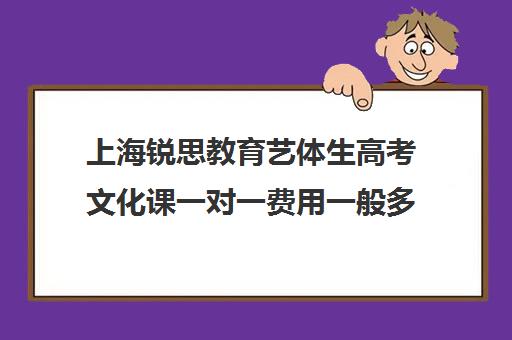 上海锐思教育艺体生高考文化课一对一费用一般多少钱（上海艺考通培训学校怎么样）