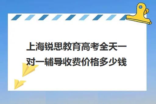 上海锐思教育高考全天一对一辅导收费价格多少钱（高考线上辅导机构有哪些比较好）