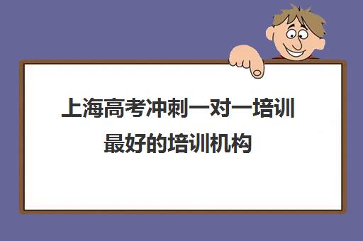 上海高考冲刺一对一培训最好的培训机构(高考辅导培训学校)