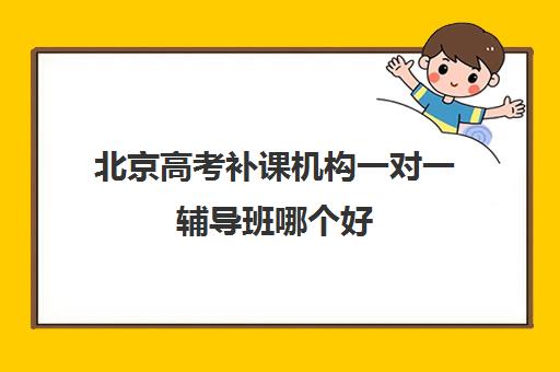 北京高考补课机构一对一辅导班哪个好(家教辅导一对一收费)