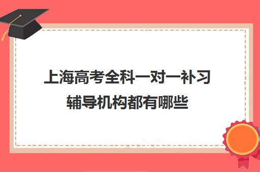 上海高考全科一对一补习辅导机构都有哪些