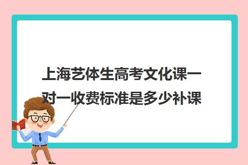 上海艺体生高考文化课一对一收费标准是多少补课多少钱一小时(一对一怎么收费标准)