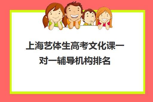 上海艺体生高考文化课一对一辅导机构排名(艺考生一对一的辅导)