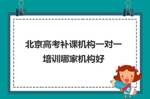 北京高考补课机构一对一培训哪家机构好(北京市口碑最好的补课机构是哪家)