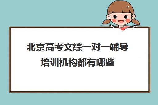 北京高考文综一对一辅导培训机构都有哪些(高考线上辅导机构有哪些比较好)