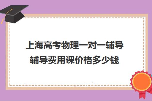 上海高考物理一对一辅导辅导费用课价格多少钱(初中一对一辅导哪个好)