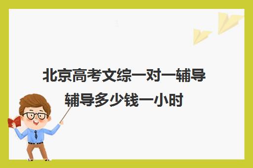 北京高考文综一对一辅导辅导多少钱一小时(一对一辅导有效果吗)