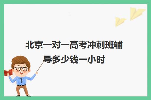 北京一对一高考冲刺班辅导多少钱一小时(高考冲刺班一般收费)