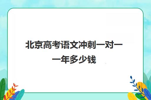 北京高考语文冲刺一对一一年多少钱(北京高三补课机构排名)