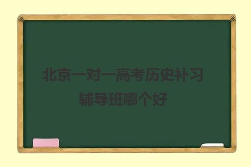 北京一对一高考历史补习辅导班哪个好