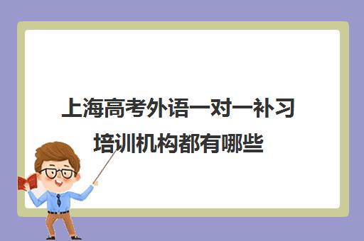 上海高考外语一对一补习培训机构都有哪些