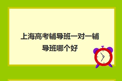 上海高考辅导班一对一辅导班哪个好(上海高三全日制补课机构)