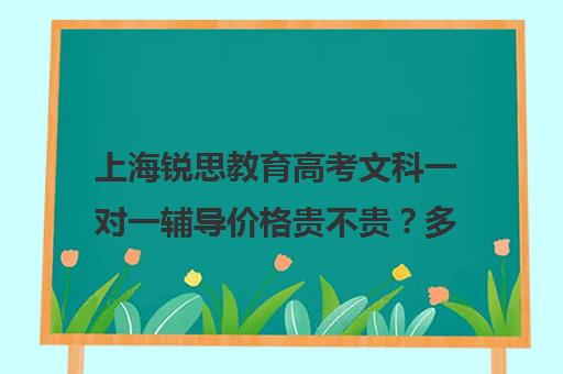 上海锐思教育高考文科一对一辅导价格贵不贵？多少钱一年（高考线上辅导机构有哪些比较