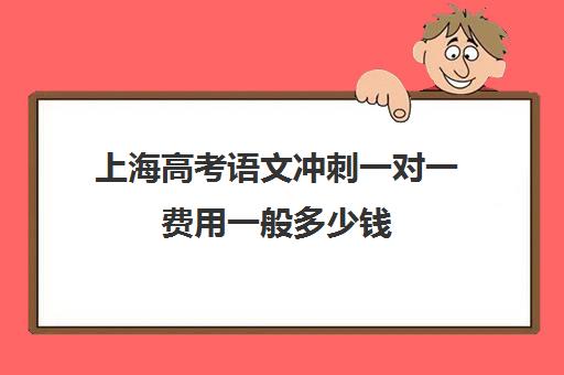 上海高考语文冲刺一对一费用一般多少钱(上海高中辅导机构排名)