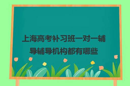 上海高考补习班一对一辅导辅导机构都有哪些