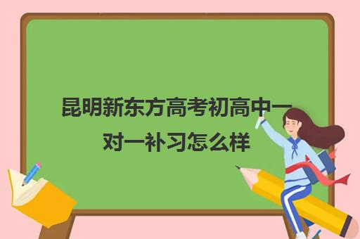 昆明新东方高考初高中一对一补习怎么样