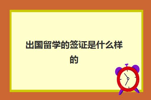 出国留学的签证是什么样的(签证办下来是什么样子的)