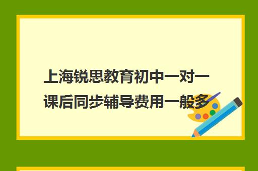 上海锐思教育初中一对一课后同步辅导费用一般多少钱（上海一对一补课收费标准）