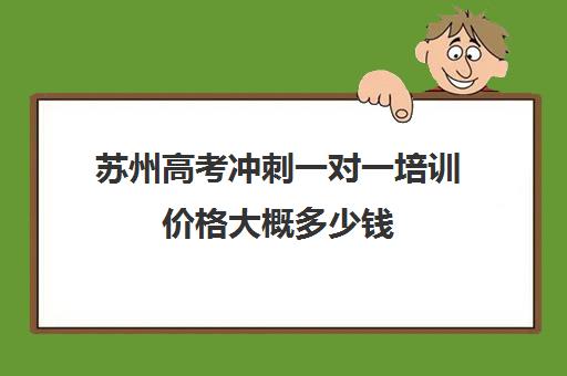 苏州高考冲刺一对一培训价格大概多少钱(上海高三一对一辅导价格表)