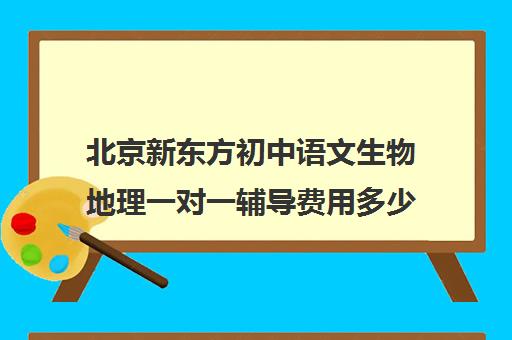 北京新东方初中语文生物地理一对一辅导费用多少钱（数学补课哪个机构好）